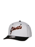 Mitchell & Ness Evergreen Pro embroidered baseball cap